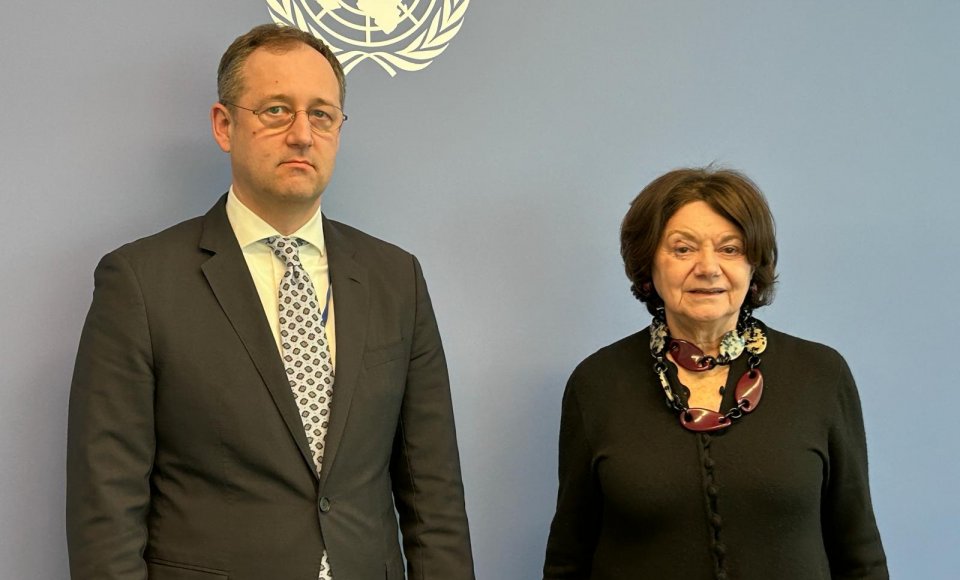 Viceministras S. Šatūnas: būtina išlaikyti Rusijos agresijos Ukrainoje klausimą tarp JT prioritetų 