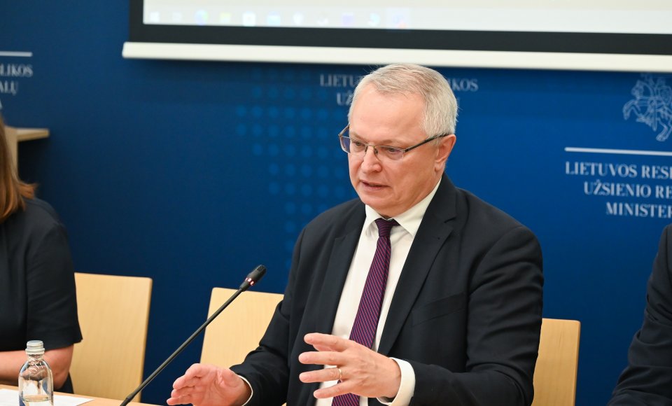 Viceministras E. Meilūnas: „Kviečiame diasporos jaunimą rinktis aukštojo mokslo studijas Lietuvoje“