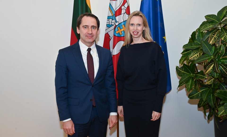 Viceministras S. Mitkus su JAV ambasadore: tvirtas transatlantinis bendradarbiavimas geriausiai atliepia visų sąjungininkų saugumo interesus