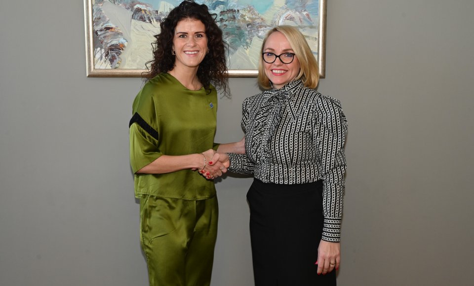Lithuania’s Foreign Vice-Minister Grigaitė-Daugirdė: Lithuania and the Council of Europe seek to strengthen efforts to protect  Ukrainian children