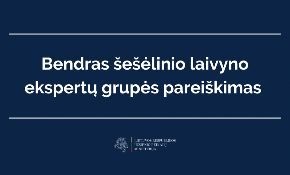 Bendras šešėlinio laivyno ekspertų grupės 4-ojo susitikimo pareiškimas 