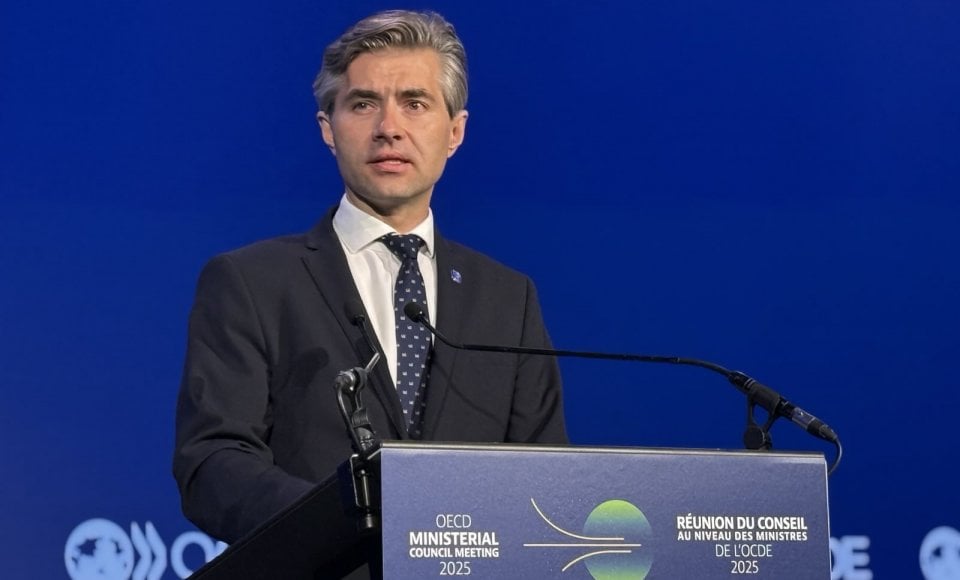 Budrys attends the OECD Ministerial Council meeting, calls for increasing support for Ukraine, strengthening  economic resilience 
