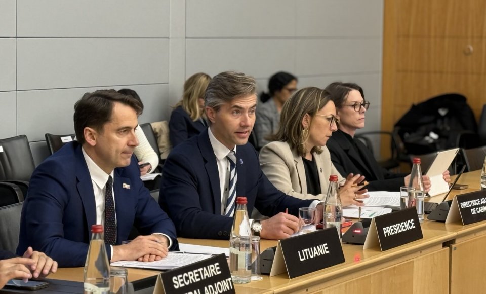 Minister Budrys at the OECD: we must strive for better economic resilience