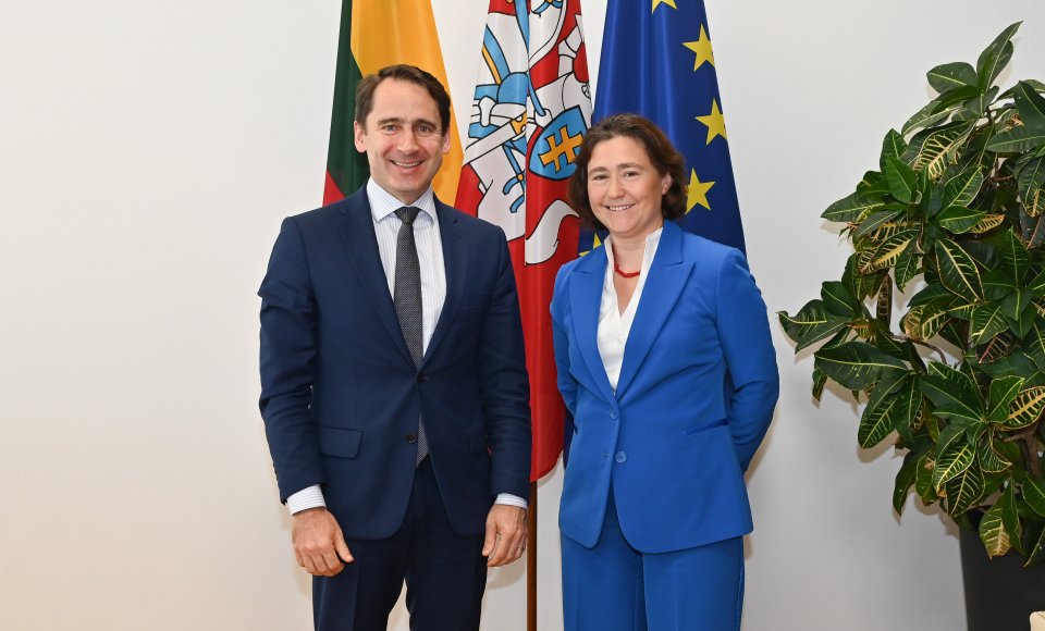 Vice-Minister of Foreign Affairs Sigitas Mitkus met with the new Ambassadors of France and Austria