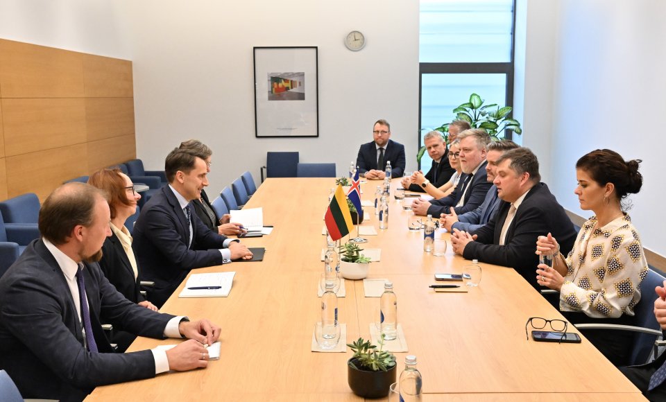 Vice-Minister Mitkus met with the visiting delegation of the Foreign Affairs Committee of the Icelandic Parliament