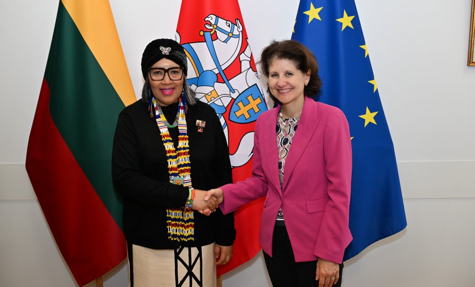 Lithuanian citizens will be able to travel to South Africa without a visa for up to 90 days