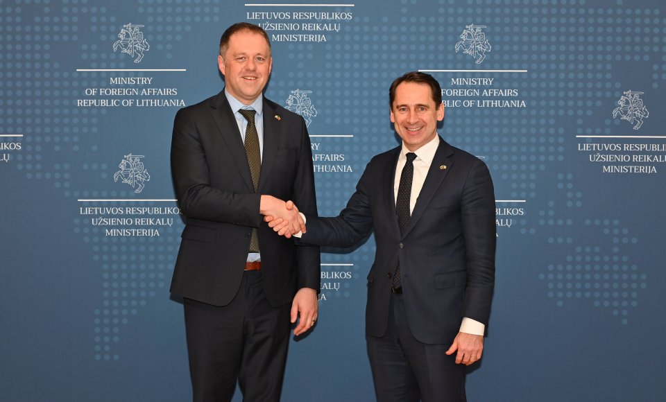 Lithuanian and Irish diplomats discuss bilateral relations, EU agenda, support for Ukraine
