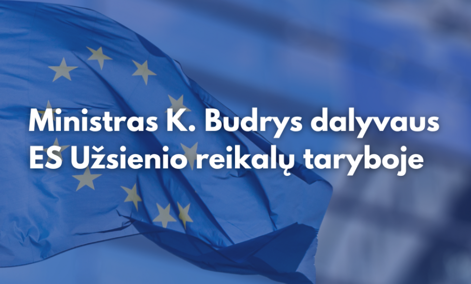 Užsienio reikalų ministras K. Budrys Briuselyje dalyvaus Užsienio reikalų taryboje 