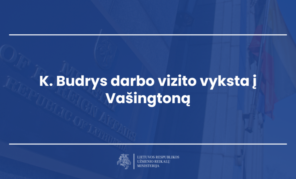 K. Budrys darbo vizito vyksta į Vašingtoną