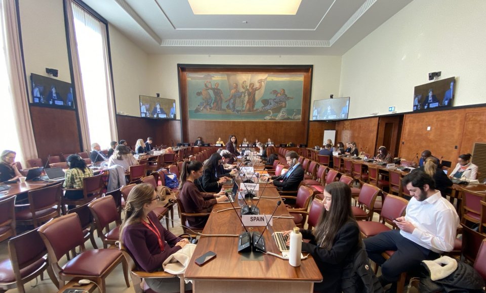 Žmogaus teisių taryboje – Lietuvos inicijuota diskusija apie asmenų su negalia saugumą humanitarinių krizių metu