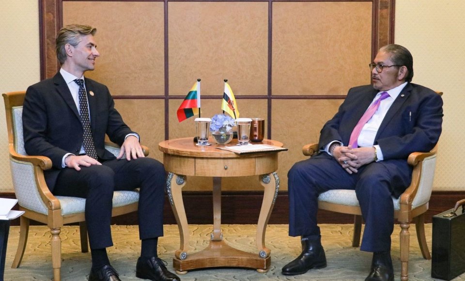 Meeting of Budrys and his Brunei counterpart discusses initiatives on energy and cybersecurity,...