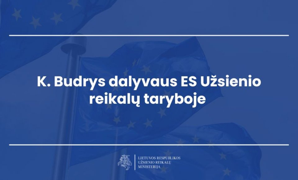 K. Budrys dalyvaus ES Užsienio reikalų taryboje Liuksemburge