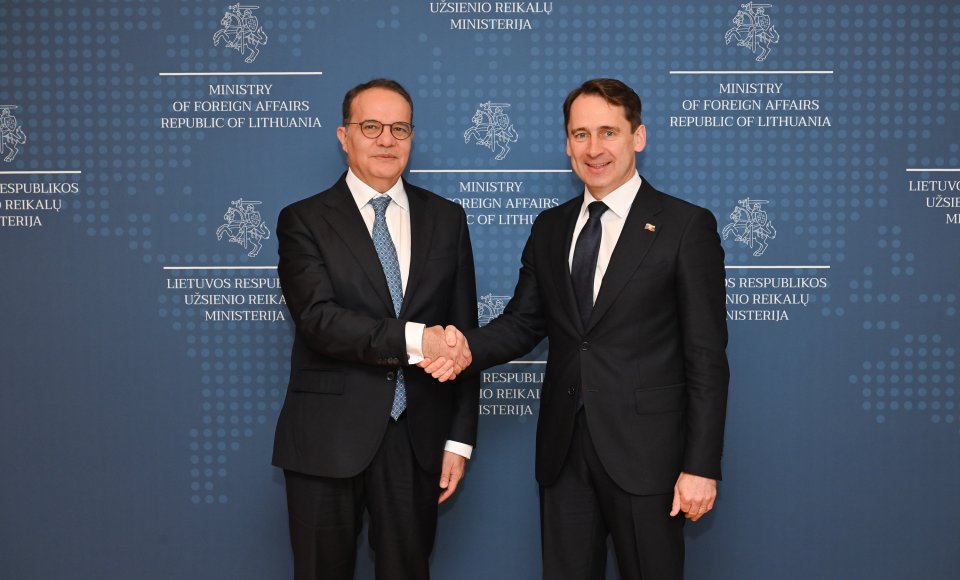 Political consultations between Lithuania and Türkiye took place in Vilnius