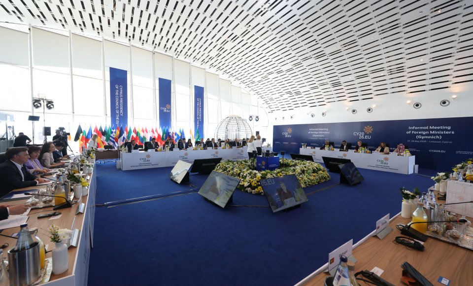 Budrys in Cyprus: European representation in peace talks in Ukraine must in no way lead to the resumption of dialogue with Russia