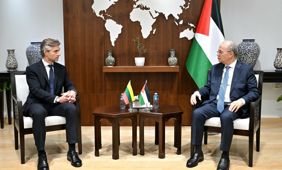 Budrys discusses security and humanitarian situation in Gaza and the West Bank