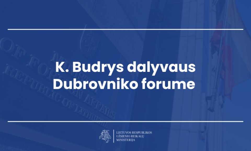 K. Budrys dalyvaus Dubrovniko forume 