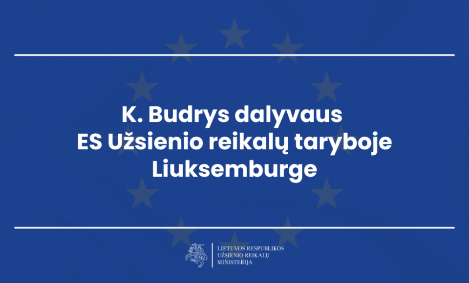 K. Budrys dalyvaus ES Užsienio reikalų taryboje Liuksemburge