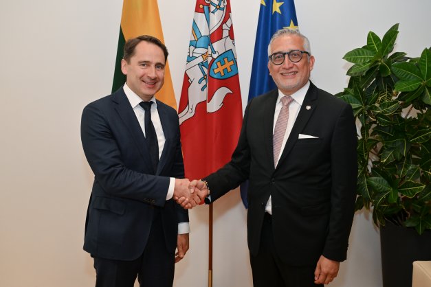 Viceministras Sigitas Mitkus su Salvadoro ambasadoriumi Ricardo Alfonso Cisneros Rodriguezu