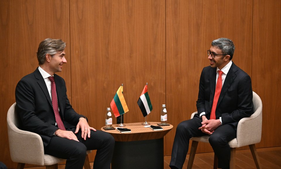 Budrys meets UAE Minister colleague in New York