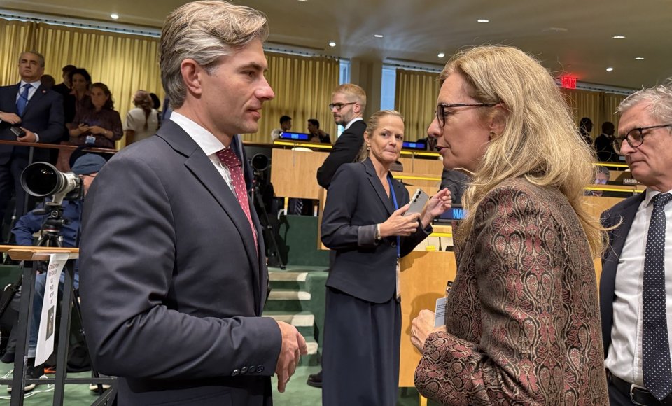 K. Budrys su Lichtenšteino Vicepremjere aptarė paramą Ukrainai ir dvišalį bendradarbiavimą