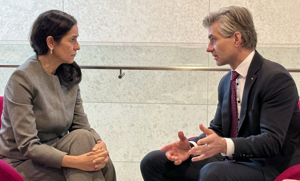Budrys discusses Ukraine’s EU integration process with Hungarian Foreign Minister