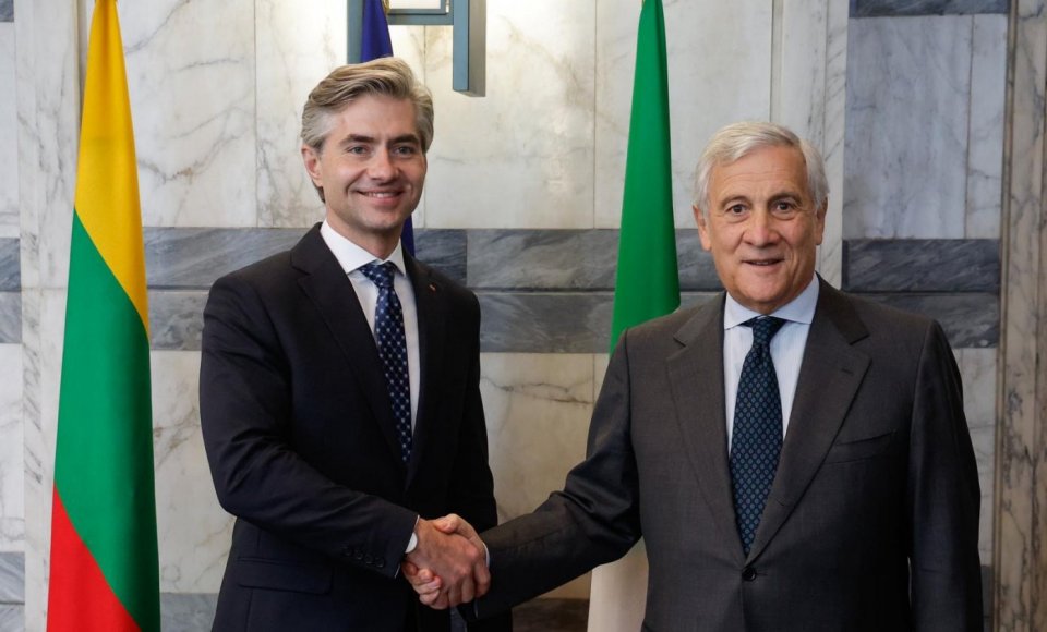 Budrys meets Italian Foreign Minister
