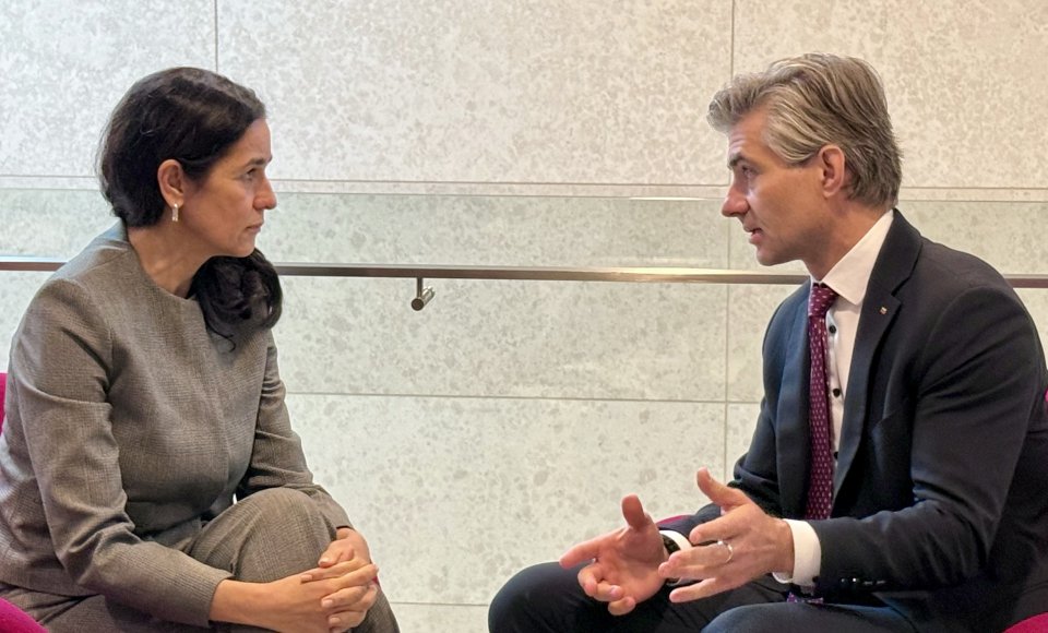 K. Budrys su Vengrijos užsienio reikalų ministre aptarė Ukrainos eurointegracijos procesą