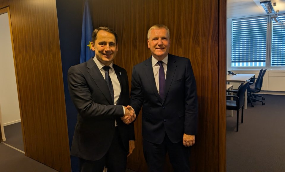 Viceministras S. Mitkus susitikime su eurokomisaru M. McGrath: Lietuva pirmininkavimo ES Tarybai metu daug dėmesio skirs demokratijos atsparumui, kovai su dezinformacija ir istorinės atminties stiprinimui